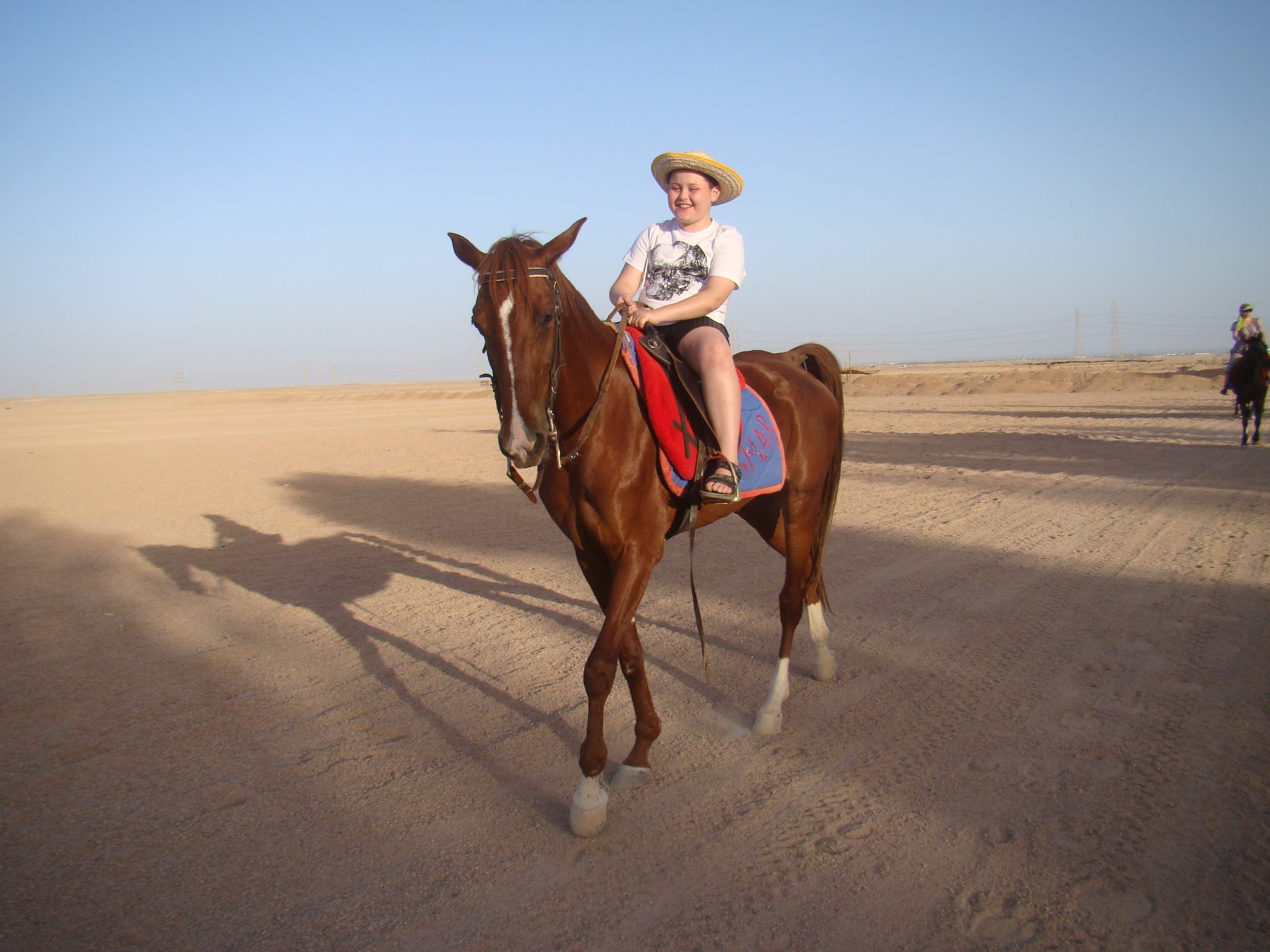 Трансфер шарм. Хорс Египет. Camel riding Sharm el Sheikh. Бедуин верхом на Жуке арт.
